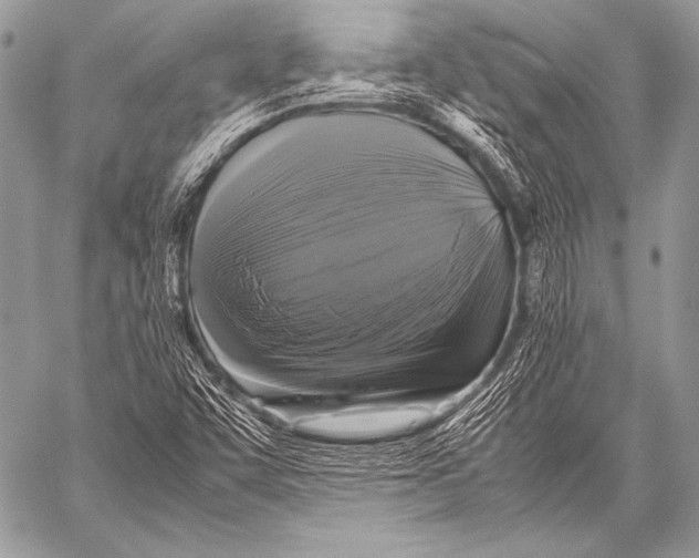 X0000057561455200510141336