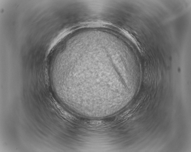 X0000057561456200510141336