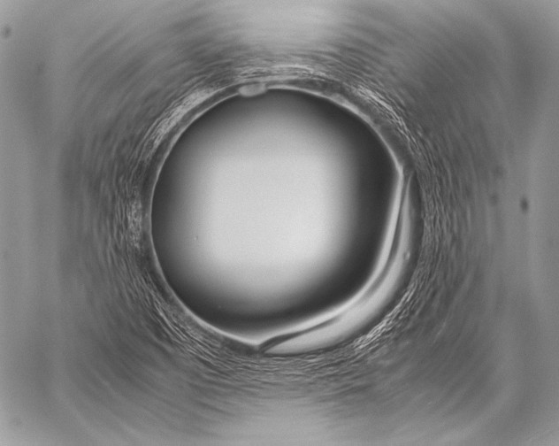 X0000057561457200510141336