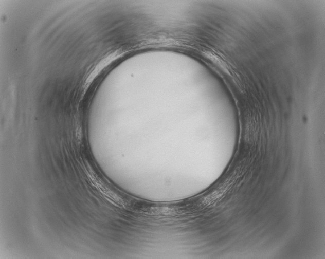 X0000057561458200510141336