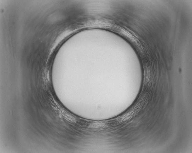X0000057561462200510141336