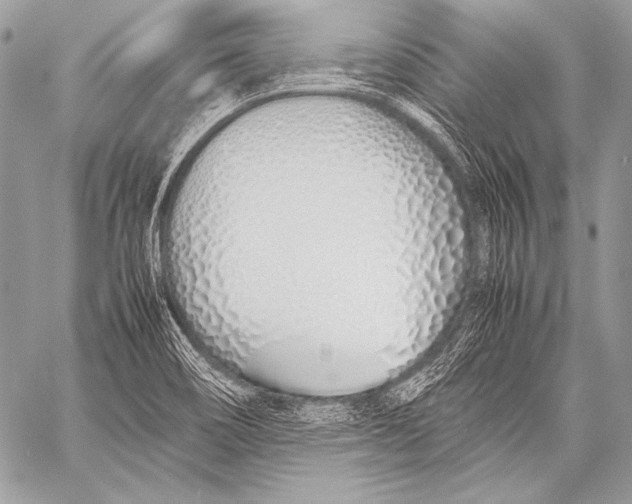 X0000057561466200510141336