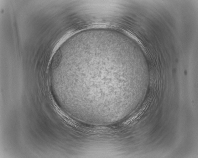X0000057561467200510141336