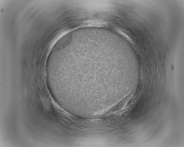 X0000057561471200510141336