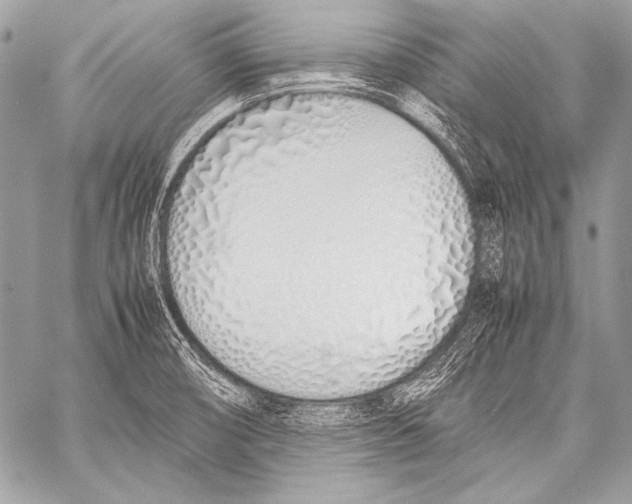 X0000057561474200510141336