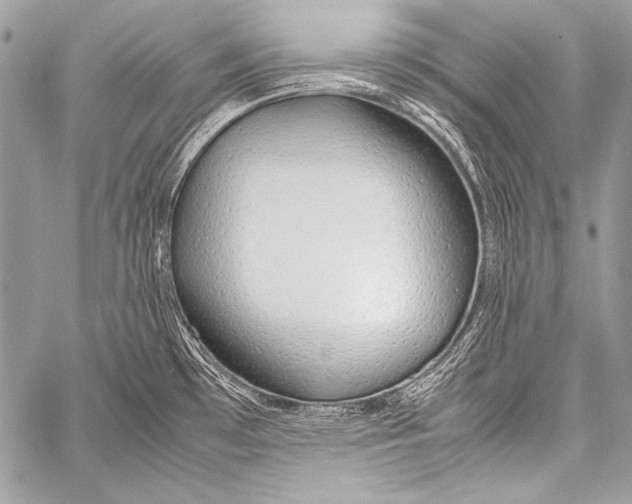 X0000057561481200510141336