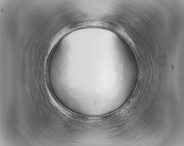 X0000057561483200510141336