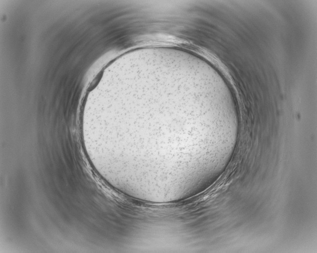 X0000057561488200510141336