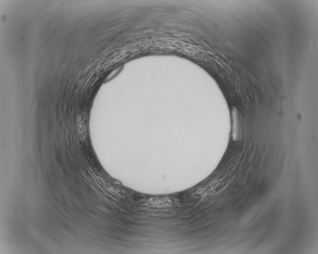 X0000057561491200510141335