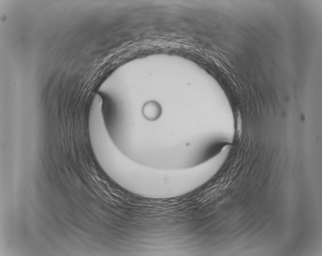X0000057561492200510141335