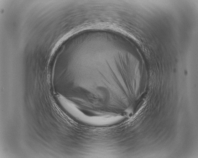 X0000057561506200510141335