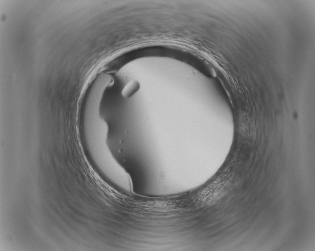X0000057561508200510141335
