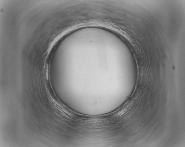 X0000057561510200510141335