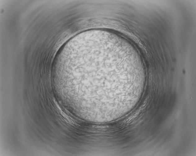 X0000057561513200510141335