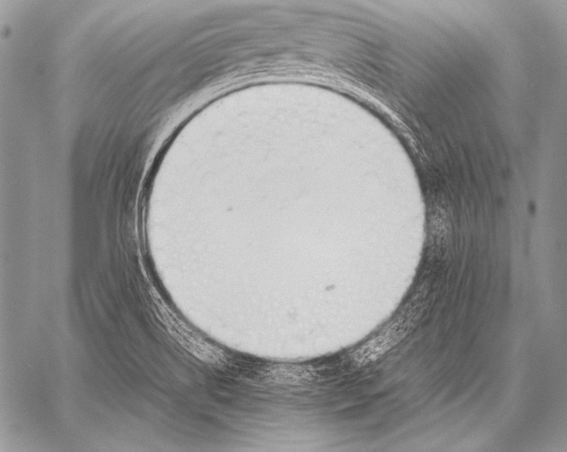 X0000057561514200510141335