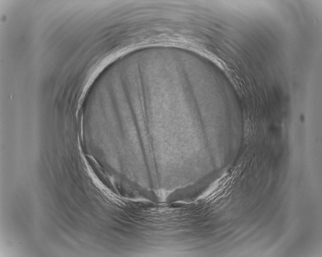 X0000057561515200510141335