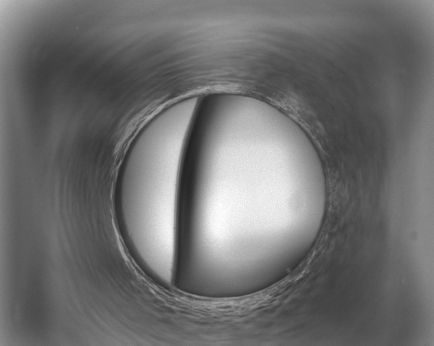 X0000057570001200509160848