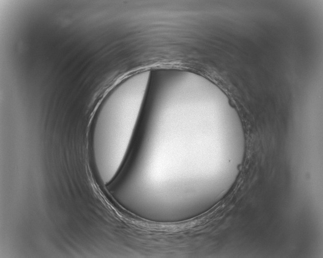 X0000057570002200509160848