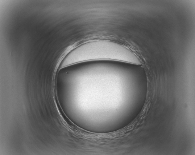 X0000057570003200509160848