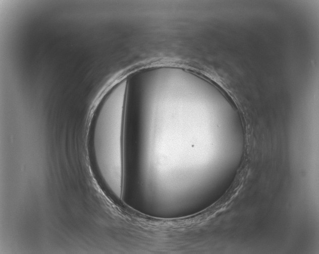 X0000057570007200509160848