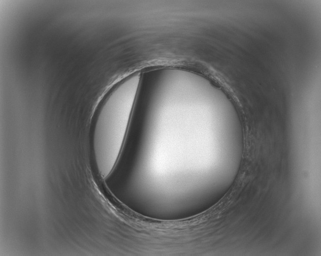 X0000057570011200509160848