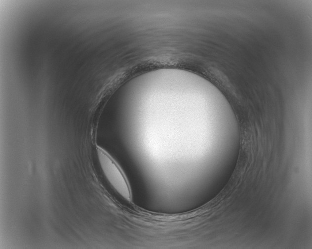 X0000057570023200509160848