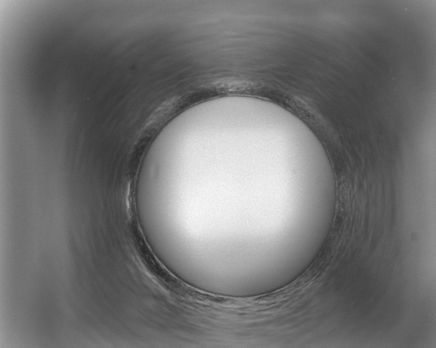 X0000057570024200509160848