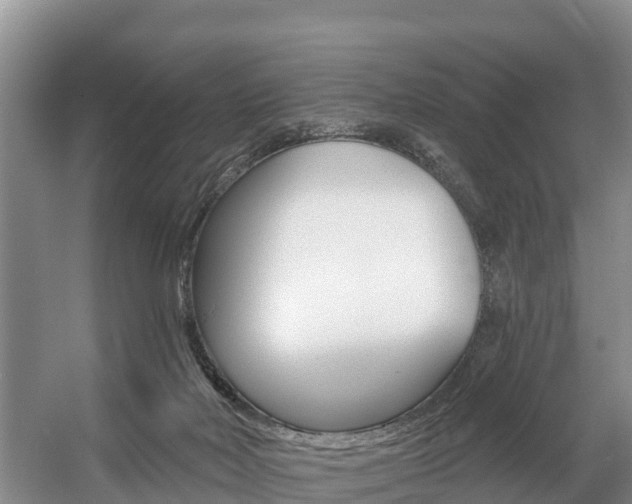 X0000057570026200509160848