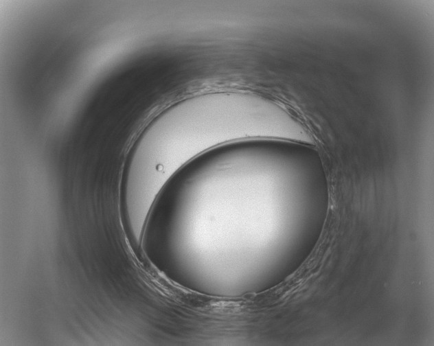 X0000057570052200509160847