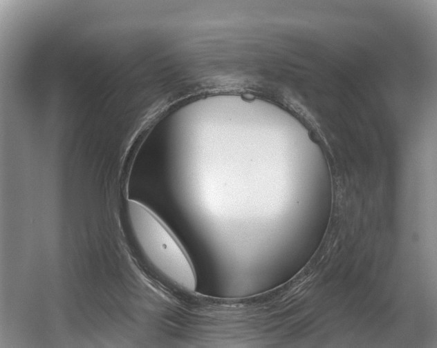 X0000057570059200509160847