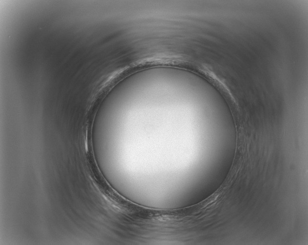 X0000057570062200509160847