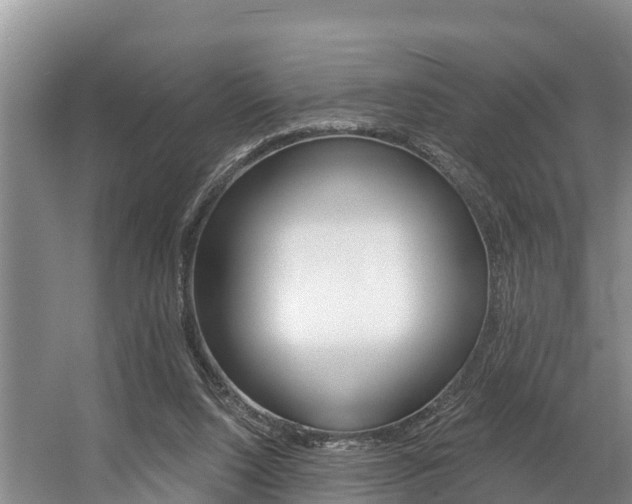 X0000057570064200509160847