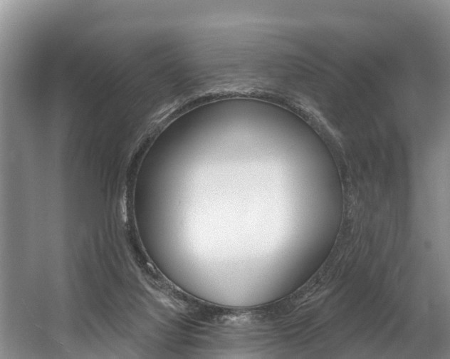 X0000057570068200509160847