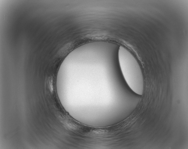 X0000057570069200509160847