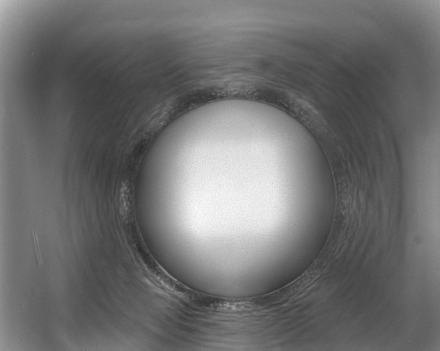 X0000057570077200509160847