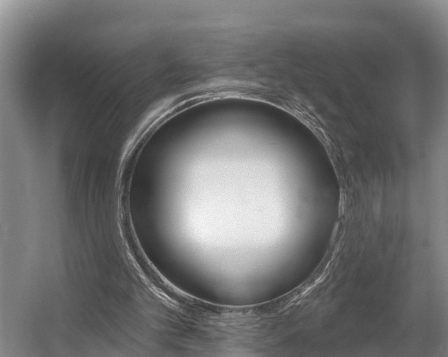 X0000057570101200509160847