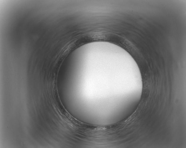 X0000057570124200509160846