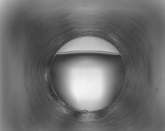 X0000057570125200509160846