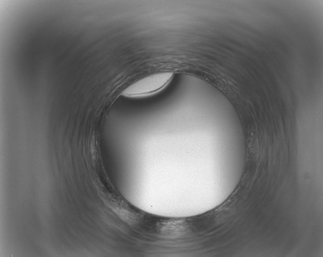 X0000057570132200509160846
