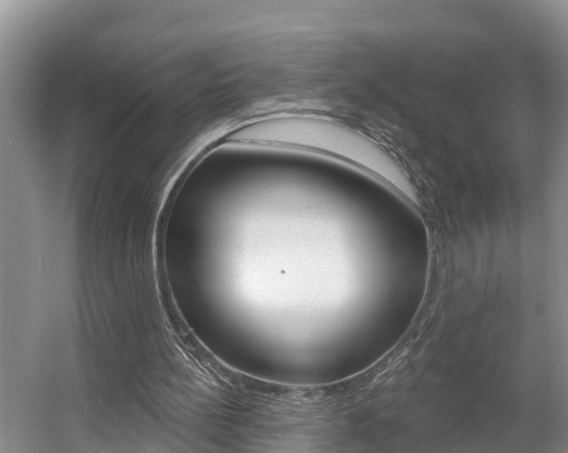 X0000057570148200509160845