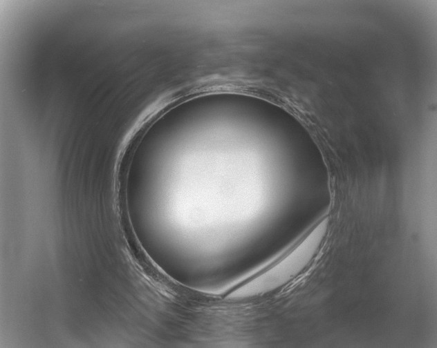 X0000057570150200509160845