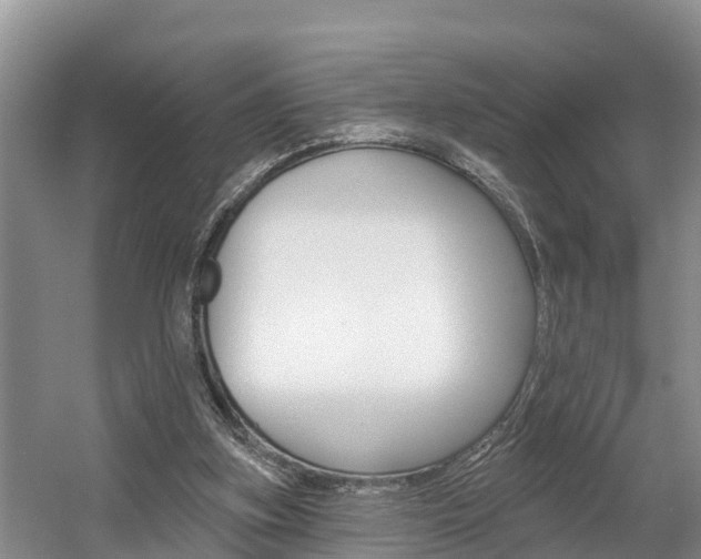 X0000057570155200509160845