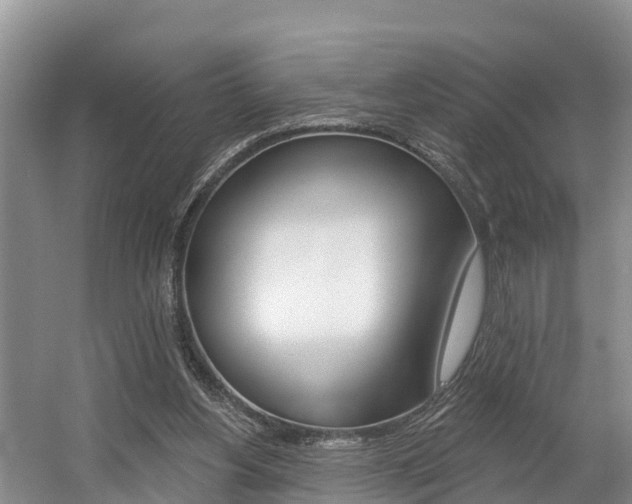 X0000057570156200509160845