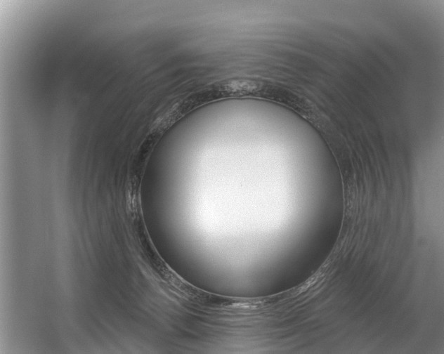 X0000057570176200509160846