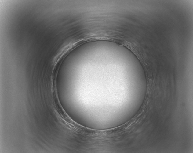X0000057570194200509160845