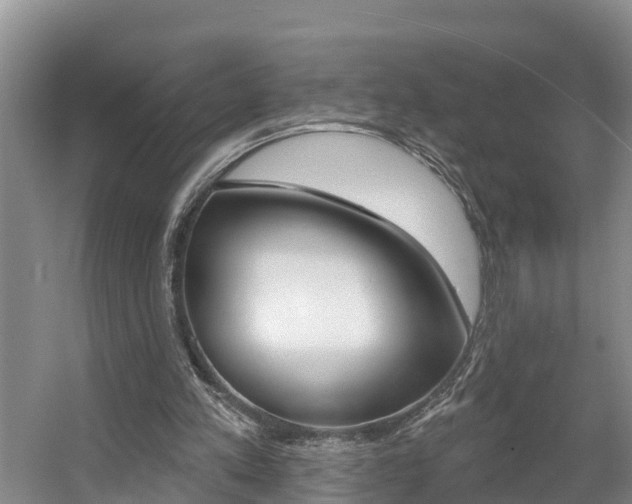 X0000057570197200509160845