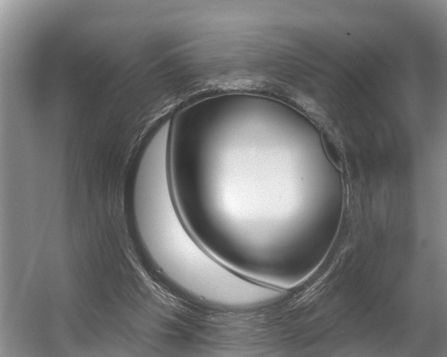 X0000057570201200509160845