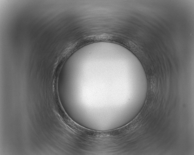 X0000057570206200509160845