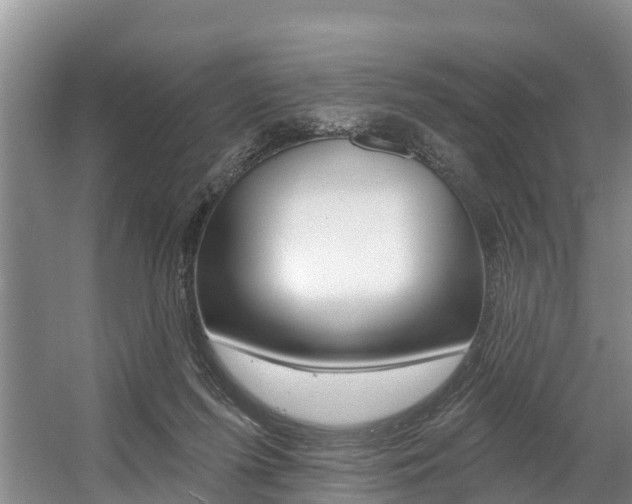 X0000057570215200509160845