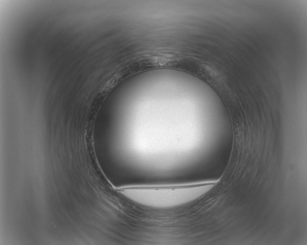 X0000057570221200509160845